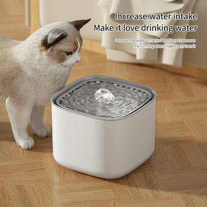 3L Silent Cat Water Fountain