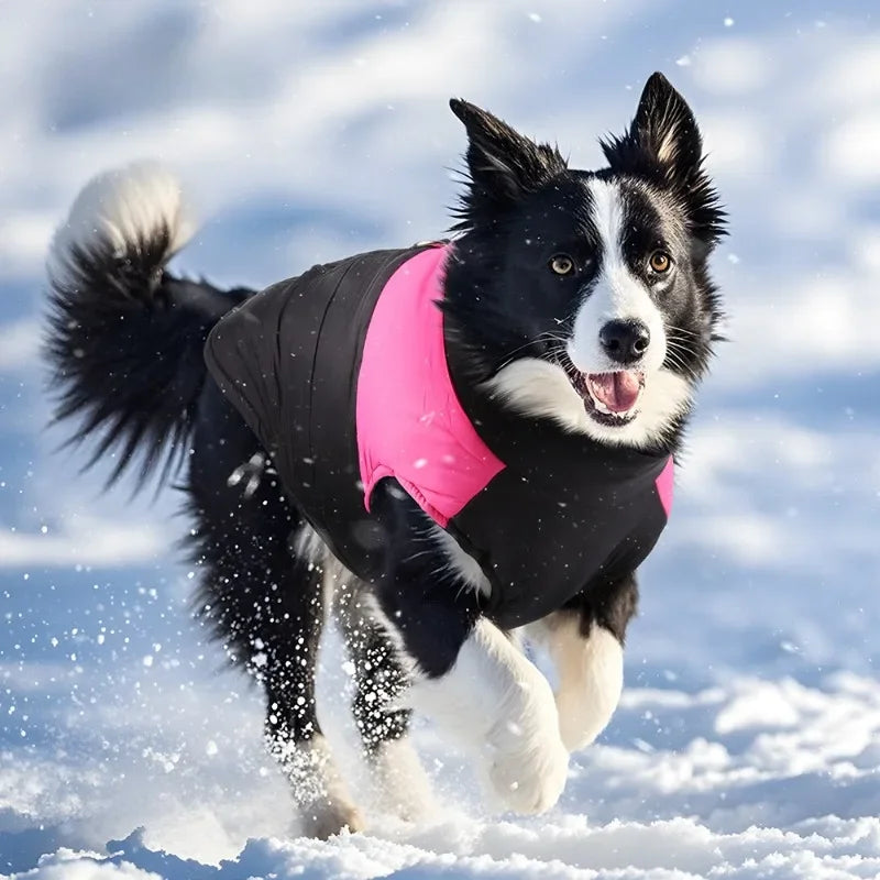 Winter Waterproof Dog Jacket