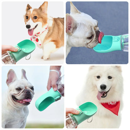 On-the-Go Dog Water Bottle